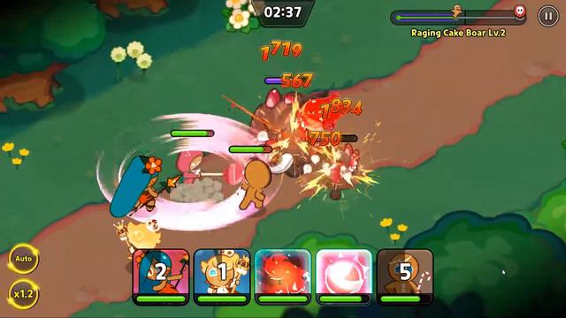 Cookie Run : Kingdom | Raging Cake Boar [Today's Bounties]