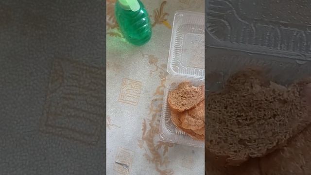 выращиваю плесень?. день 1./как вырастить плесень. смотреть онлайн