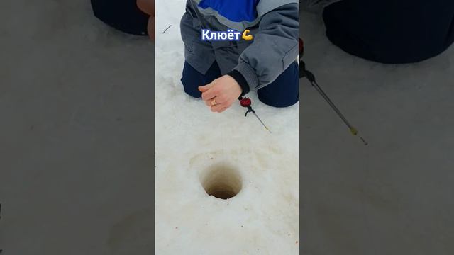 Рыбалка на севере #надым #янао #крайнийсевер #вятка #рыбалка #зимняярыбалка #ловлянабалансир #зима смотреть онлайн