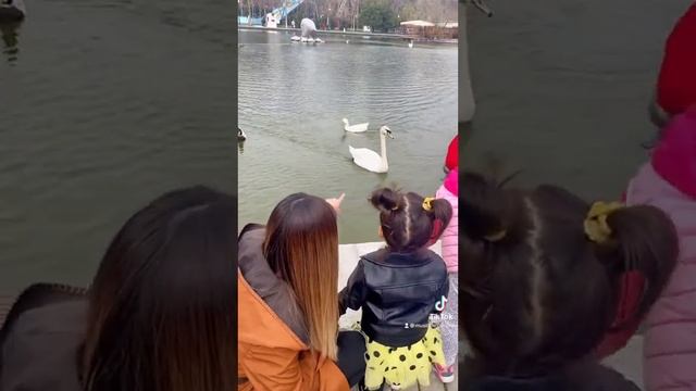 Сестра — это дар сердцу, друг души, золотая нить смысла жизни??#двойняшки #рекомендации #близняшки смотреть онлайн