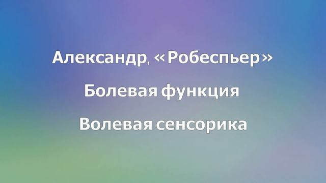 Робеспьер. Ролевая и Болевая функции. БЭ+ЧС. Соционика. Типирование по аспектам. смотреть онлайн