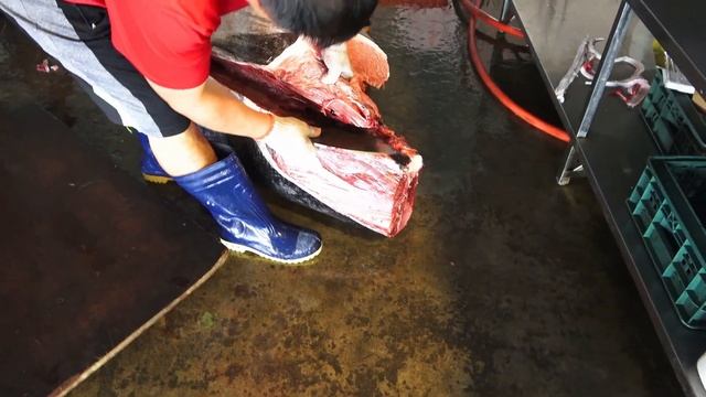 Amazing 307kg Giant Bluefin Tuna Cutting Skills - Taiwan Street Food