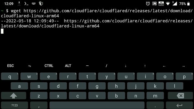 Expose Your Localhost to the Web | Cloudfare смотреть онлайн