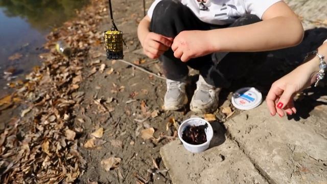 В путь! По-новому. Рыбный день - 09/11/23 смотреть онлайн