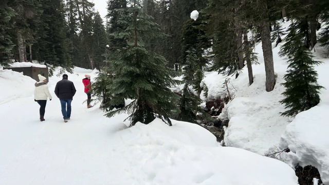 Сноквалми Пасс . Snoqualmie Pass. The Summit at Snoqualmie, including Alpental Ski Area, смотреть онлайн