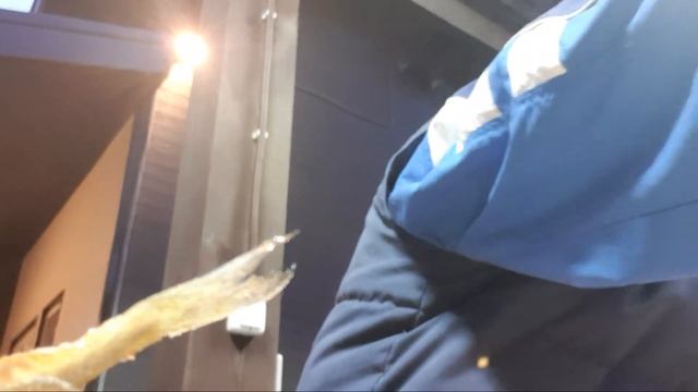 Классический рецепт жарки корюшки. Заодно и поговорили с теми, кому это интересно. смотреть онлайн