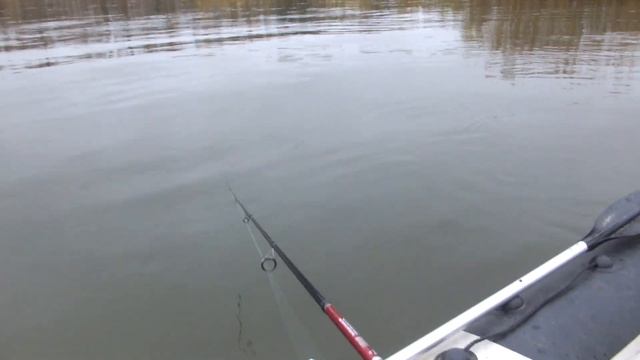 Рыбалка в октябре.Щука на спиннинг.#6 Рыбалка на реке Яя. На безрыбье и рак рыба! смотреть онлайн