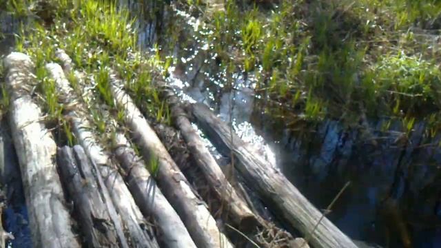 Дорога в д. Татино Новгородского района-мост через р.Кересть смотреть онлайн