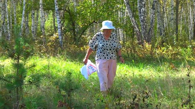 Около деревни Новопокровка смотреть онлайн