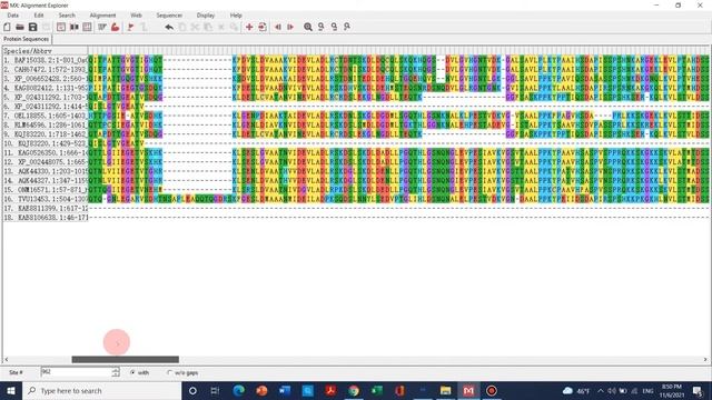 How to construct a phylogenetic tree and sequence alignment | MEGA X software -Lecture 2 смотреть онлайн