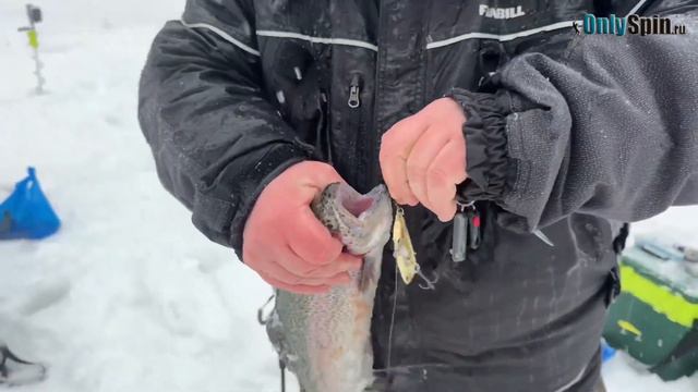 Кубок OnlySpin в Голицыно Fish. 1 этап смотреть онлайн