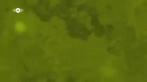 Красивый нашид/Махер Зайн/