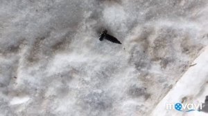 Монтаж Сайдинга .Корабельная доска.Фасады.Завершение объекта .