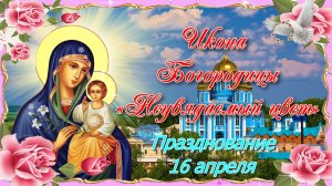 Икона Богородицы «Неувядаемый цвет». Празднование 16 апреля.