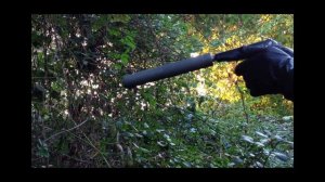 Как работает ПМ с глушителем