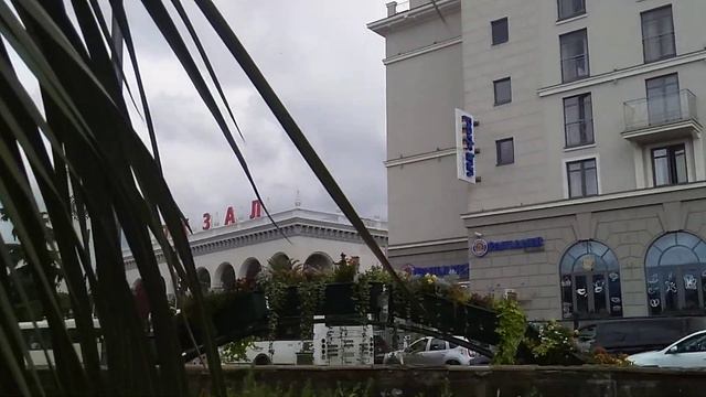 Финиковая пальма смотреть онлайн