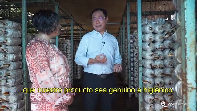 Fundador de Gano Excel - Leow Soon Seng смотреть онлайн