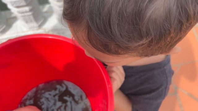 Спасение Черепахи Turtle Rescue