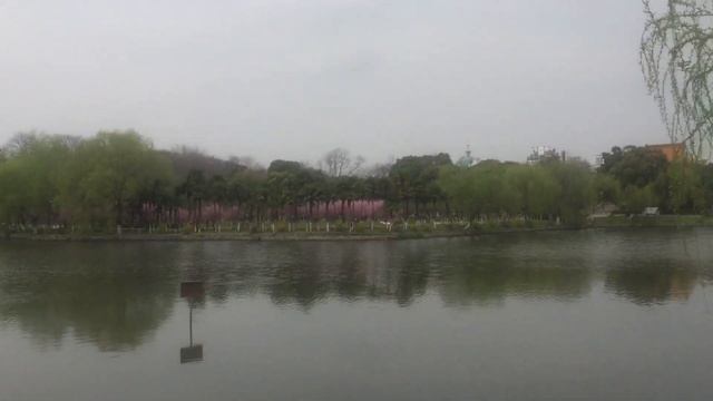 Весна в Китае. Jingzhou city, Hubei province. смотреть онлайн