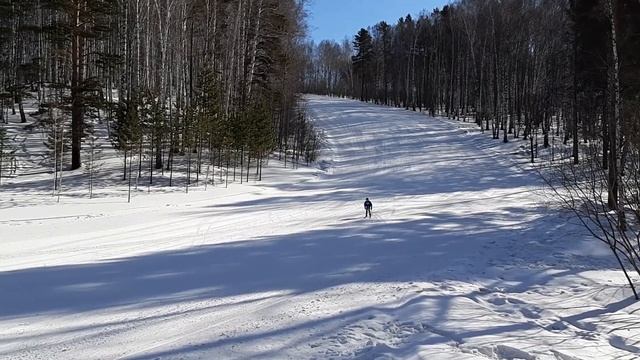 Техника конькового хода в лыжах смотреть онлайн