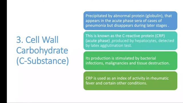 Pneumococcus|Streptococcus Pneumoniae|