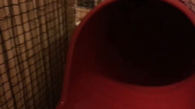 VLOG батут и детские лабиринты в игровом центре Леопарк