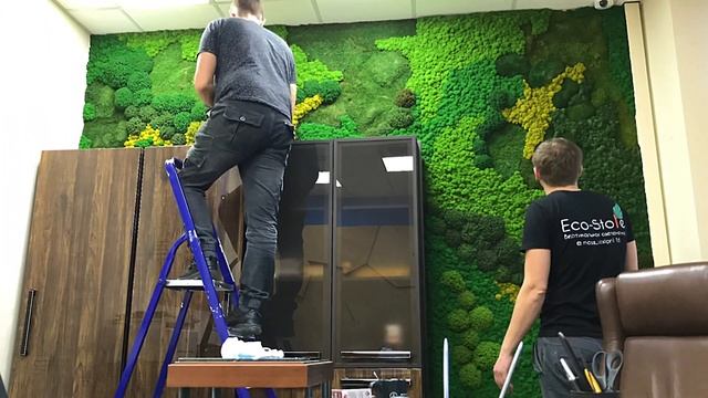 Панель из стабилизированного мха