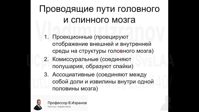 01. Проводящие пути. Общий обзор. 2022 05 27 09 28 18 смотреть онлайн