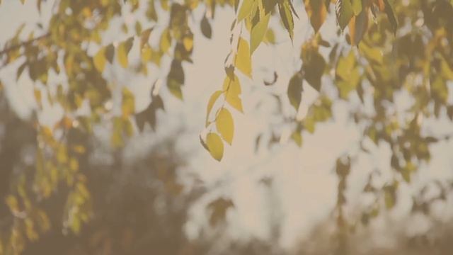 Узнайте Сегодня Свое БУДУЩЕЕ и попросите о САМОМ ЖЕЛАННОМ! смотреть онлайн
