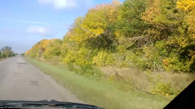 В Грачики за грибами. смотреть онлайн