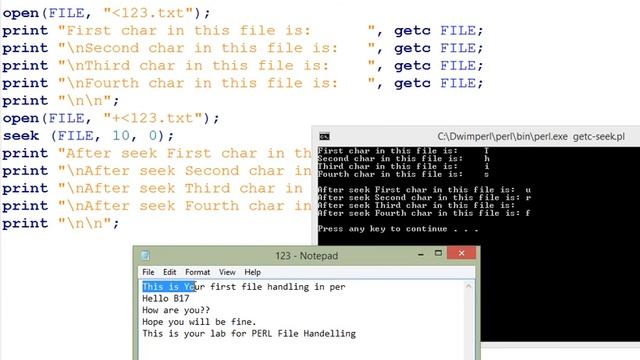 getC and seek function смотреть онлайн