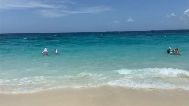 trip to ZANZIBAR / day 2 смотреть онлайн