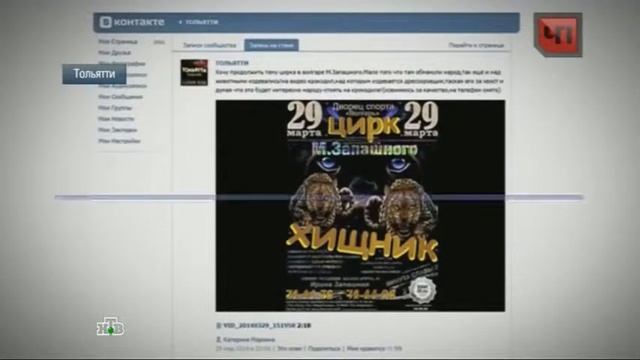 Канал новости В Тольятти лжециркачи издевались над животными на глазах у публики смотреть онлайн