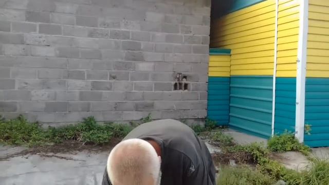 Зея зея город зея смотреть онлайн