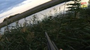 (18 ) ЗАЧЁТНАЯ - ОХОТА НА УТКУ (№-5) 2017 ОСЕНЬ.mp4