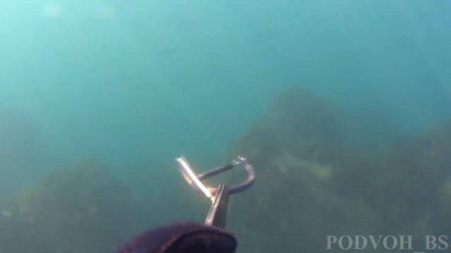 ПОДВОДНАЯ ОХОТА В ЧЕРНОМ МОРЕ. ДЕКАБРЬ. ЗАКРЫЛ СЕЗОН 2019. САРГАН. ДУПЛЕТ! смотреть онлайн