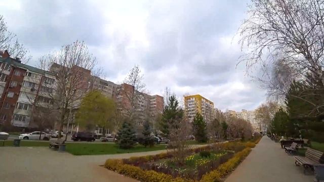 Неделя влогов . Я снова ошибаюсь . Рецепт Зебры . смотреть онлайн