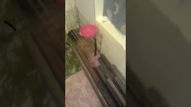 Шок)) про металл и тренажёр. смотреть онлайн