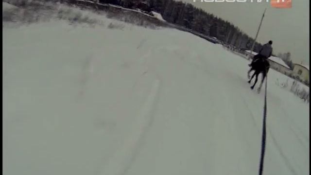 В лошадиных силах можно измерить не только мощность... смотреть онлайн