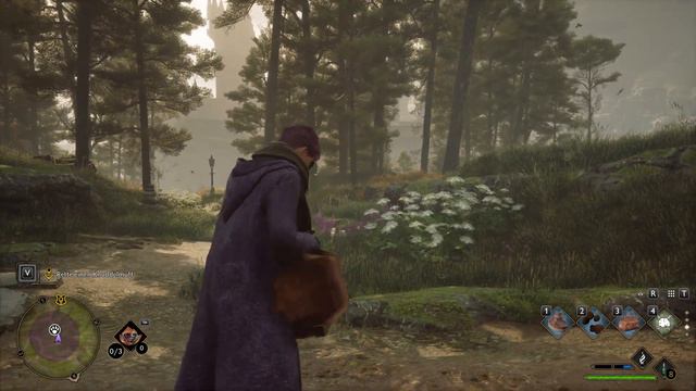 Let’s Play Hogwarts Legacy [023] [Deutsch] [4K] - Der Elf, der Schnappsack und der Webstuhl смотреть онлайн