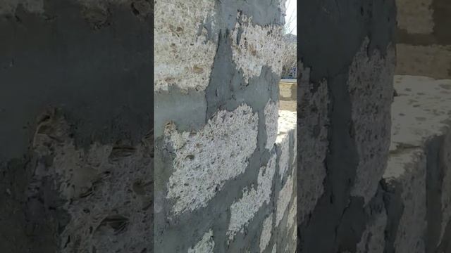 ? Блоки из ракушечных пород  #казахстан
