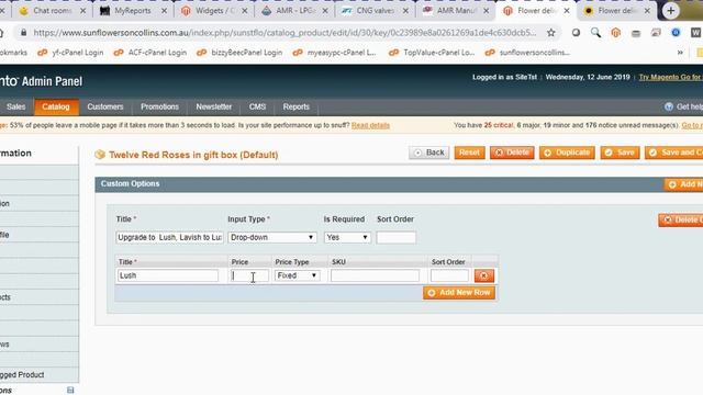 Adding custom options in Magento Shopping Cart смотреть онлайн