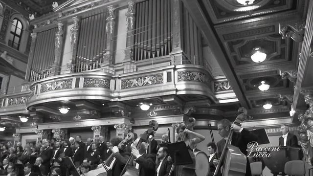 Puccini - Vincerò (Nessun Dorma) - Turandot // Wiener Musikverein // Puccini E La Sua Lucca
