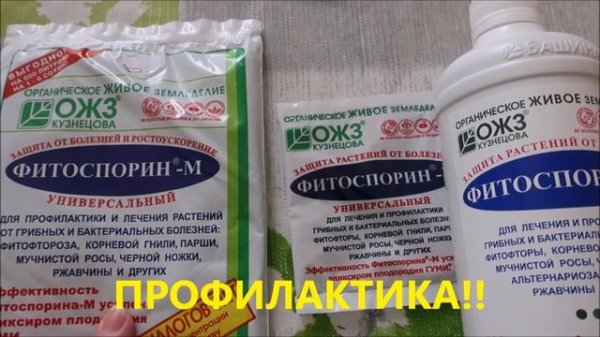 ТАКОЙ РАЗНЫЙ ФИТОСПОРИН. КАКОЙ ИСПОЛЬЗОВАТЬ И ДЛЯ КАКИХ ЦЕЛЕЙ