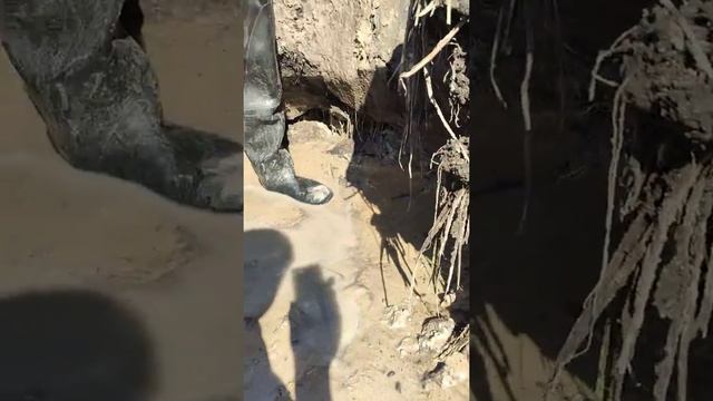 Родник.В процессе работы по поиску самого ключа ( глаза) родника ! смотреть онлайн