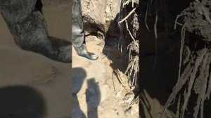 Родник.В процессе работы по поиску самого ключа ( глаза) родника !