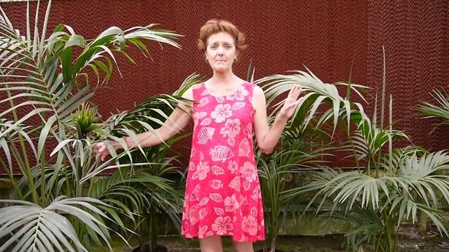 An Elegant Plant For Lower Light: The Kentia Palm смотреть онлайн