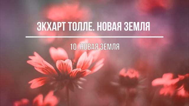 Новая земля. Часть 10. Экхарт Толле