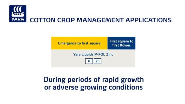 Yara Cotton Crop Nutrition Program смотреть онлайн