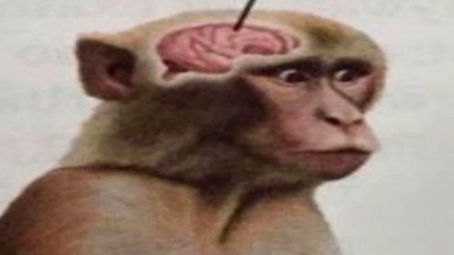 Neuron deactivation смотреть онлайн